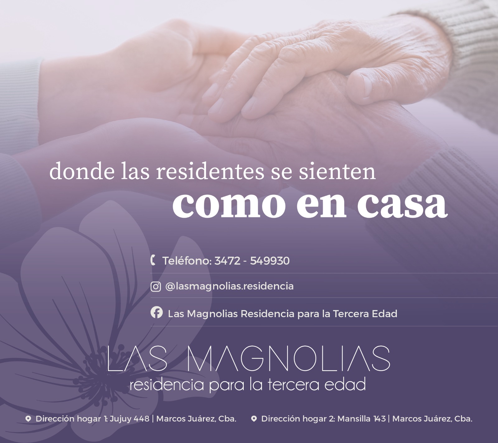 magnolias-banner-nuevo-dia-leones